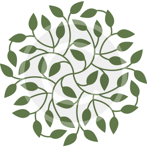 favicon.png